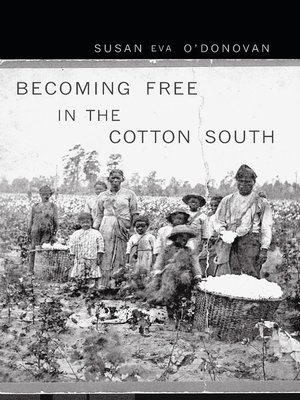 cover image of Becoming Free in the Cotton South